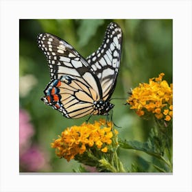 Monarch Butterfly 17 Canvas Print