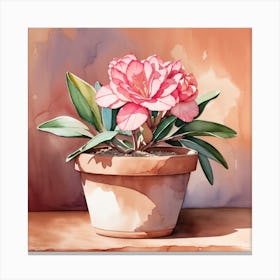 Watercolor Flower In A Pot, desert rose in a plain shallow terracotta Canvas Print