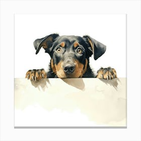 Dachshund 3 Canvas Print