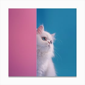 White Cat Peeking Out Of The Corner 1 Canvas Print