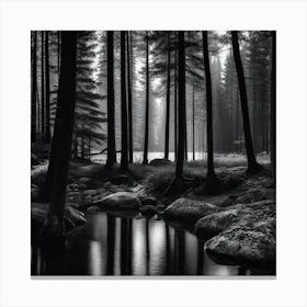 Forest In Black And White 1 Canvas Print