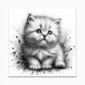 Black And White Drawing Of A Kitten Canvas Print