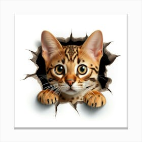 Bengal Cat 1 Canvas Print