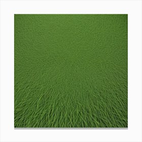 Grass Background 16 Canvas Print