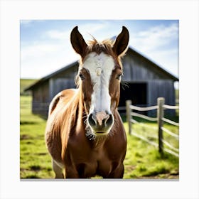 Horse In The Pasture Canvas Print