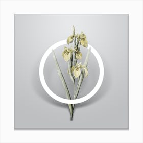 Vintage Irises Minimalist Floral Geometric Circle on Soft Gray n.0282 Canvas Print