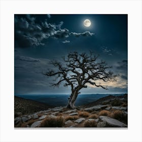 Lone Tree At Night Canvas Print