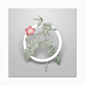 Vintage Pink Alpine Rose Minimalist Flower Geometric Circle on Soft Gray n.0567 Canvas Print