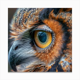 The Mesmerizing Gaze of an Owl Canvas Print