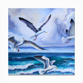 Seagulls Canvas Print