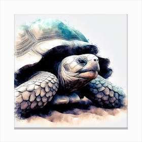 Watercolor Turtle Illustration Canvas Print