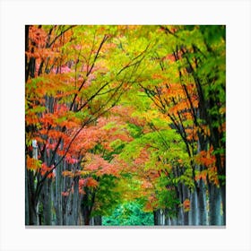 Autumn Trees Canvas Print