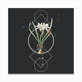 Vintage Sea Daffodil Botanical with Geometric Line Motif and Dot Pattern n.0058 Canvas Print