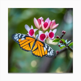 Monarch Butterfly 3 Canvas Print