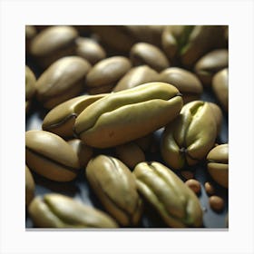 Pistachios 32 Canvas Print