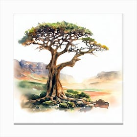Acacia Tree, socotra Canvas Print