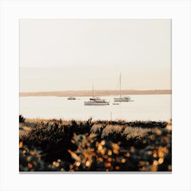 Sailboat On Ocean Square Canvas Print