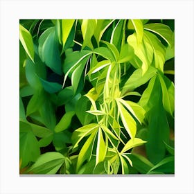 Green Leaves In The Jungle Canvas Print