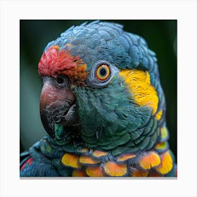 Colorful Parrot 23 Canvas Print