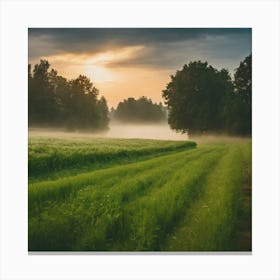 Sunrise Over A Field 1 Canvas Print