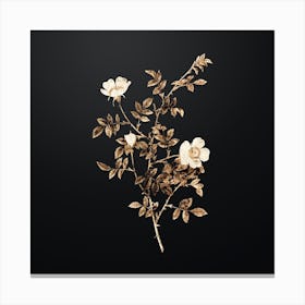 Gold Botanical Pink Hedge Rose in Bloom on Wrought Iron Black n.3775 Canvas Print