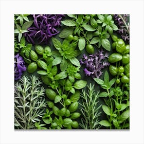 Herbs As A Background (14) Canvas Print