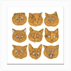 Orange Cat Faces Square Canvas Print