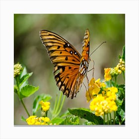 Butterfly On A Yellow Flower Canvas Print