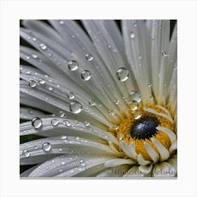 In the Eye of the Flower Canvas Print