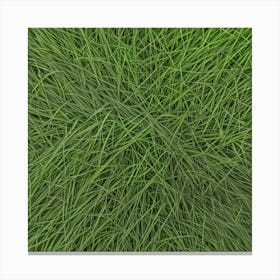 Grass Background 21 Canvas Print