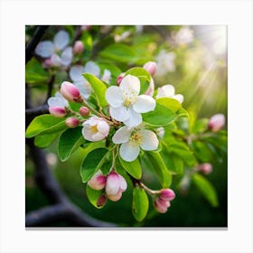 Blooming Pear Tree In Spring Close Shot Showcasing The Intricate Arrangement Of Small Blush Toned B (3) Canvas Print