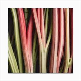 Rhubarb 117 Canvas Print