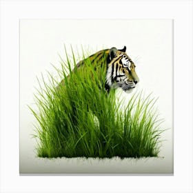 Tiger In Grass 2 Canvas Print