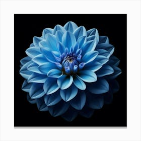 Blue Dahlia 2 Canvas Print