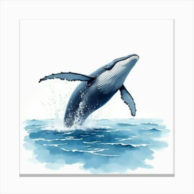 Humpback Whale 1 Canvas Print