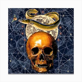 Skull And Snake Canvas Print