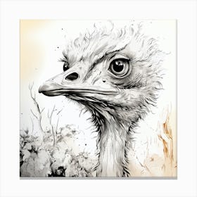 Ostrich 2 Canvas Print