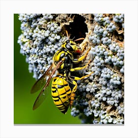 Wasp On A Flower Canvas Print