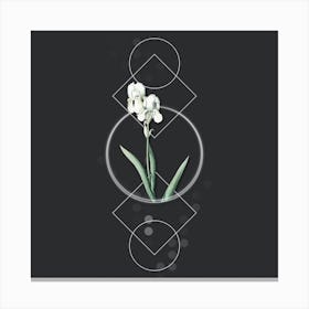 Vintage Tall Bearded Iris Botanical with Geometric Line Motif and Dot Pattern Canvas Print