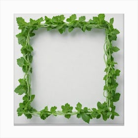 Frame Of Mint Leaves Canvas Print