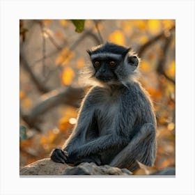 Monkey In The Savannah Canvas Print