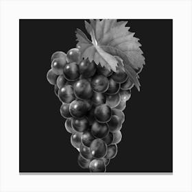 Black And White Grapes 1 Canvas Print