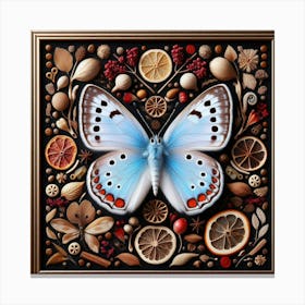 Preserved Butterfly Art 5 Canvas Print