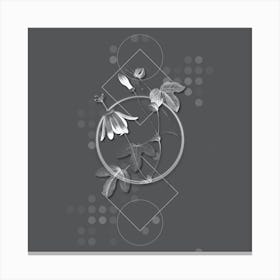 Vintage Red Passion Flower Botanical with Line Motif and Dot Pattern in Ghost Gray n.0332 Canvas Print