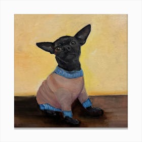 Chihuahua Canvas Print