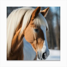 Horse In The Snow 6 Canvas Print