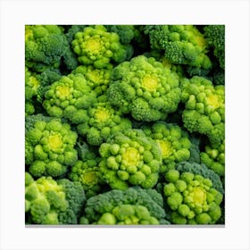 Close Up Of Broccoli 3 Canvas Print