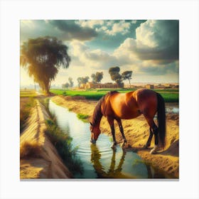 Captivating Scene: A Majestic Horse Quenching its Thirst in a Village, Bathed in the Glow of a Mesmerizing Sunset Canvas Print