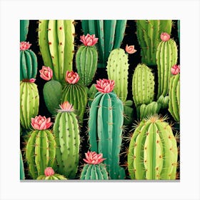 Cactus Canvas Print