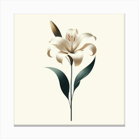 White Lily Canvas Print